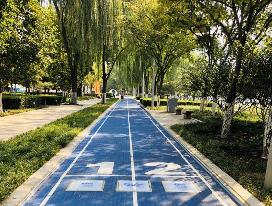 家門口的智能步道——南京花神湖智能體育公園正式開園啦！